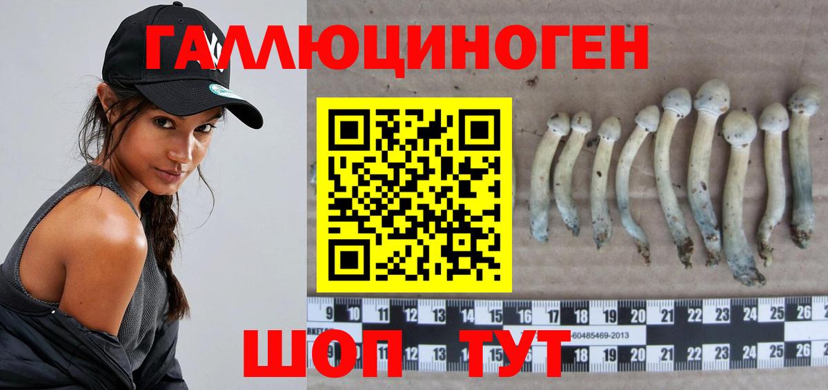 наркота  Вход с VPN  Псилоцибиновые грибы Cubensis  Владивосток  Псилоцибиновые грибы Magic Shrooms 