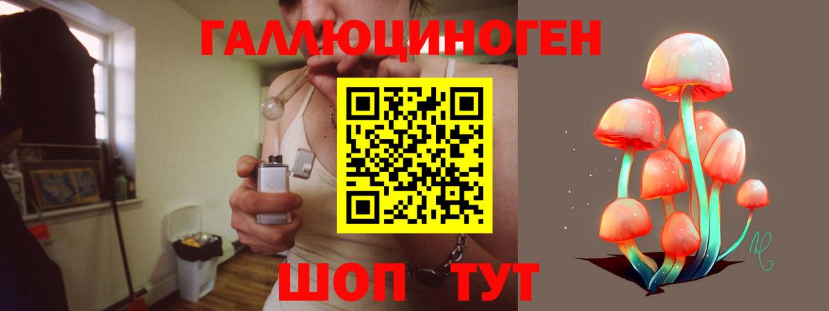 Галлюциногенные грибы Psilocybe Владивосток